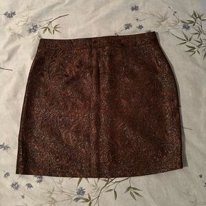 Elegant Banana Republic Heritage Brown with shimmer Skirt